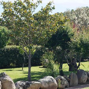 Les Jardins De Santa Giulia - Charmante chambre d'hôte